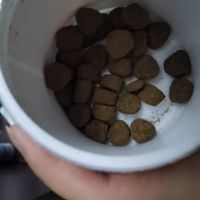 唯特适宠物鲨鱼软骨素是一种优质的宠物保健品