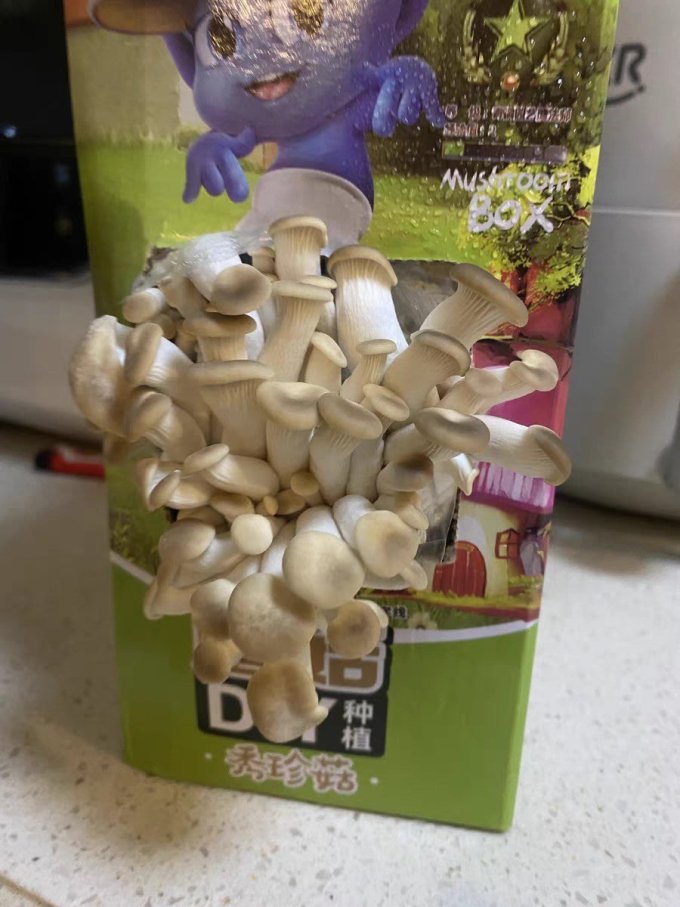 考拉精灵园艺用品
