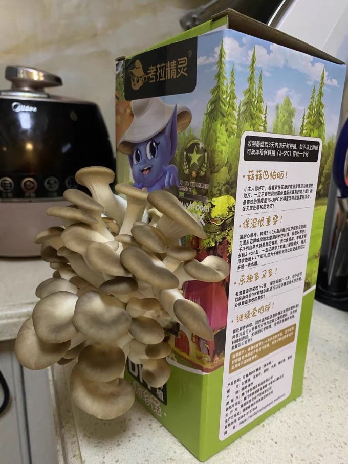 考拉精灵园艺用品