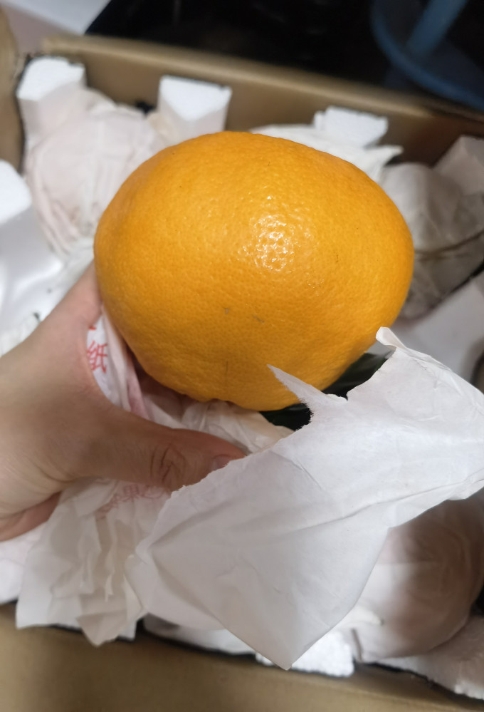 新鲜水果