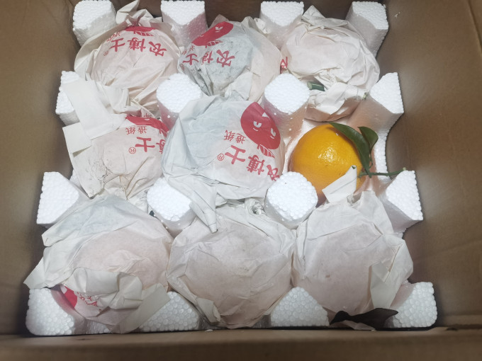 新鲜水果