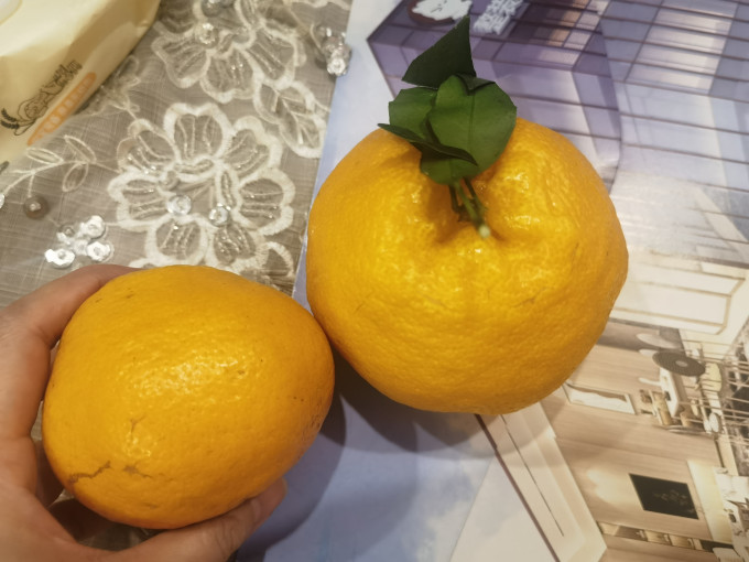 新鲜水果