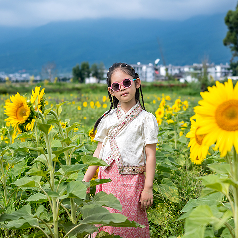 分享下2023年平凡的摄影之路