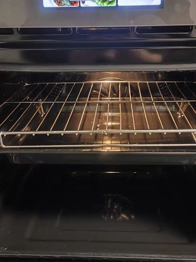 电蒸烤箱
