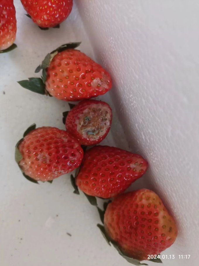 柚琳草莓