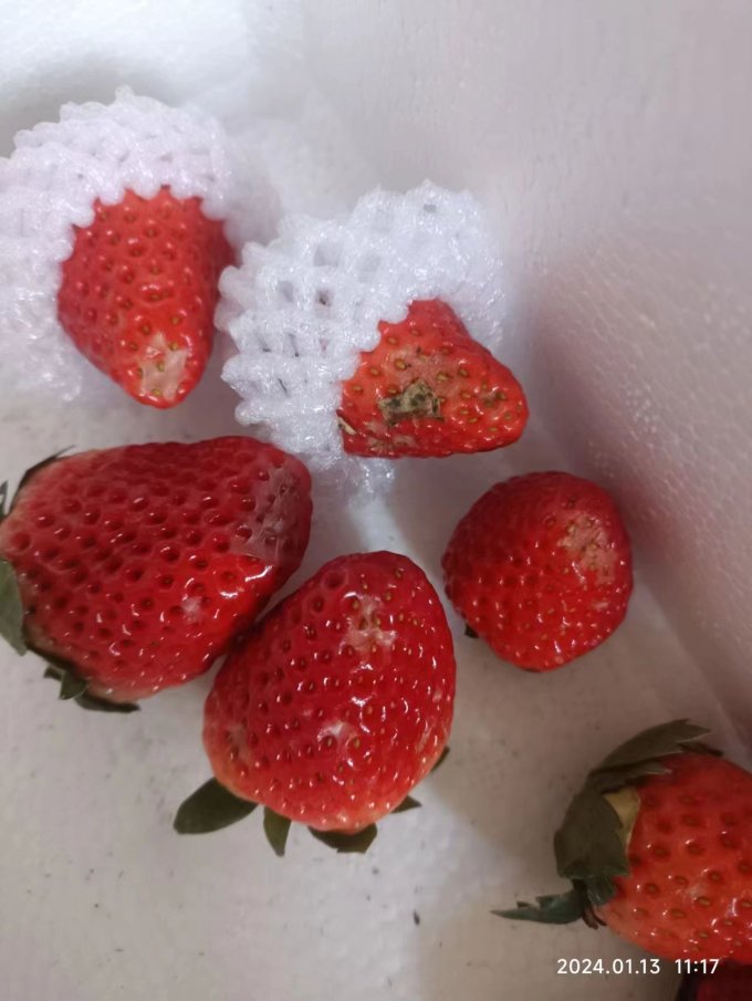 柚琳草莓