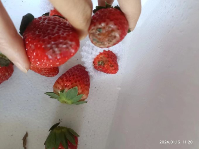 柚琳草莓