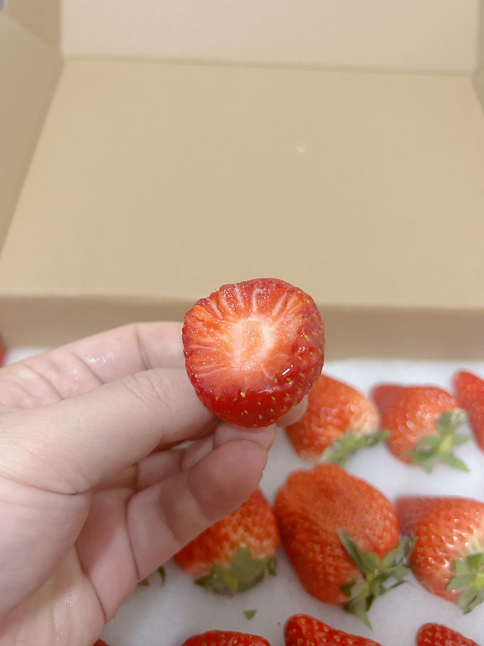 佳农草莓