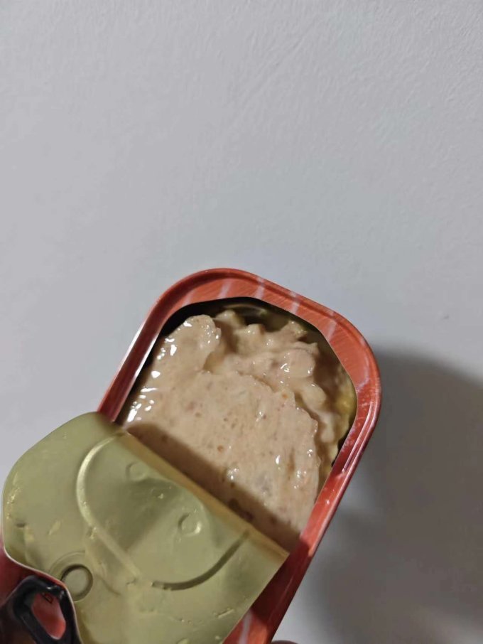 领先猫咪湿粮/罐头