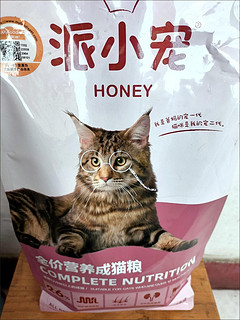 小猫咪的美味佳肴