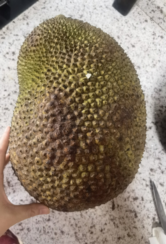 京生果觅新鲜水果