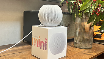 苹果HomePod Mini，听说它是苹果全家桶中性价比最高的