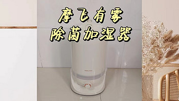 众测|摩飞有雾加湿器