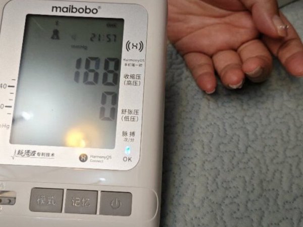 瑞光康泰maibobo脉搏波电子血压计家用上臂式测量血压仪表医用 RBP-2400鸿蒙版 支持HUAWE