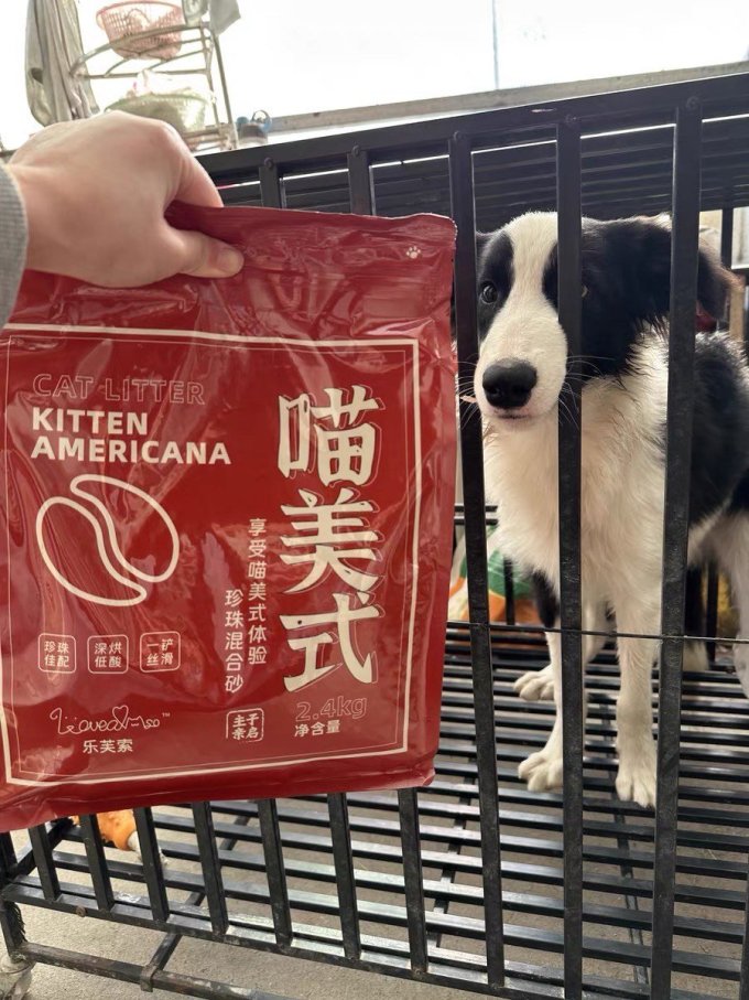 乐芙索日用清洁