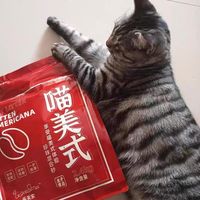 梦中情砂终于找到了