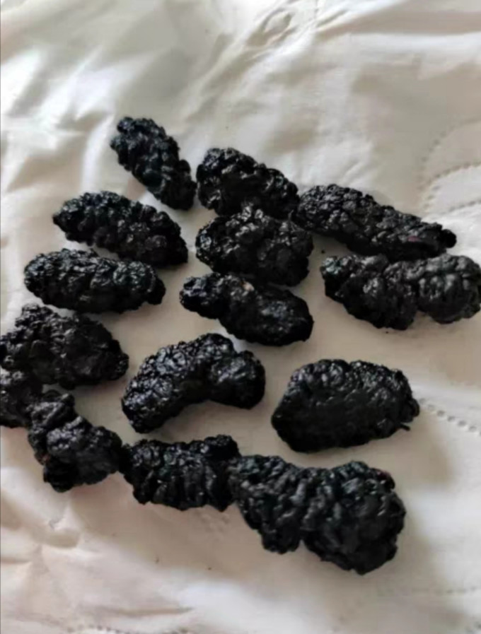 放鹤洲南北干货