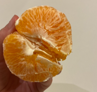 大丑橘