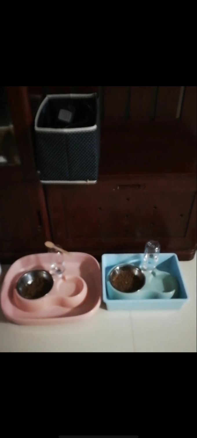 宠物食具水具