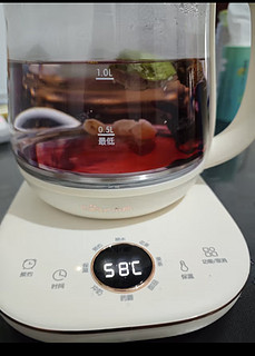 小熊（Bear）养生壶 1.5L煮茶壶烧水壶 可拆卸茶篮 煮茶器电水壶 恒温电热水壶 保温花茶壶 YSH-E15W7 