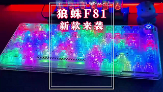 f81新款已正式上市，原价369 首发339