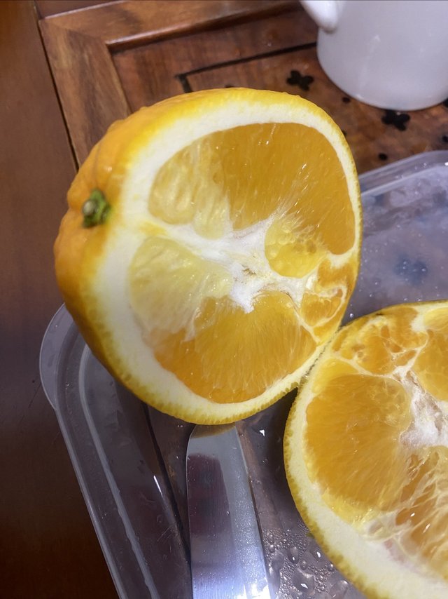 踩坑的大橙子🍊