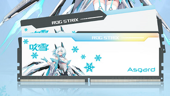 2024寒假升级电脑DDR5内存条推荐，阿斯加特女武神系列性价比很高