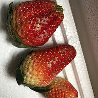 红颜草莓的甜蜜诱惑！