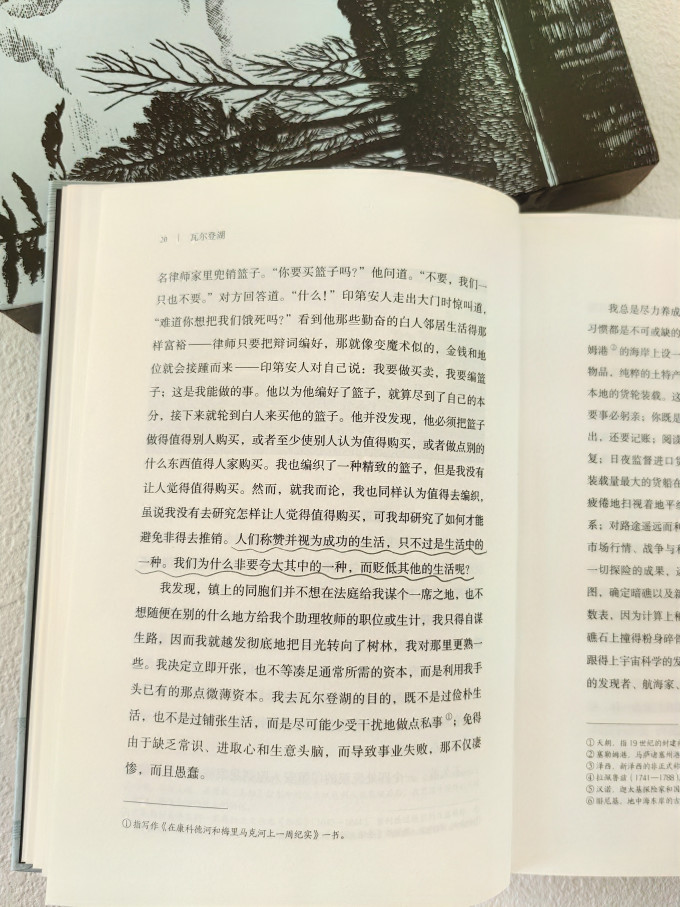 江苏凤凰文艺出版社小说