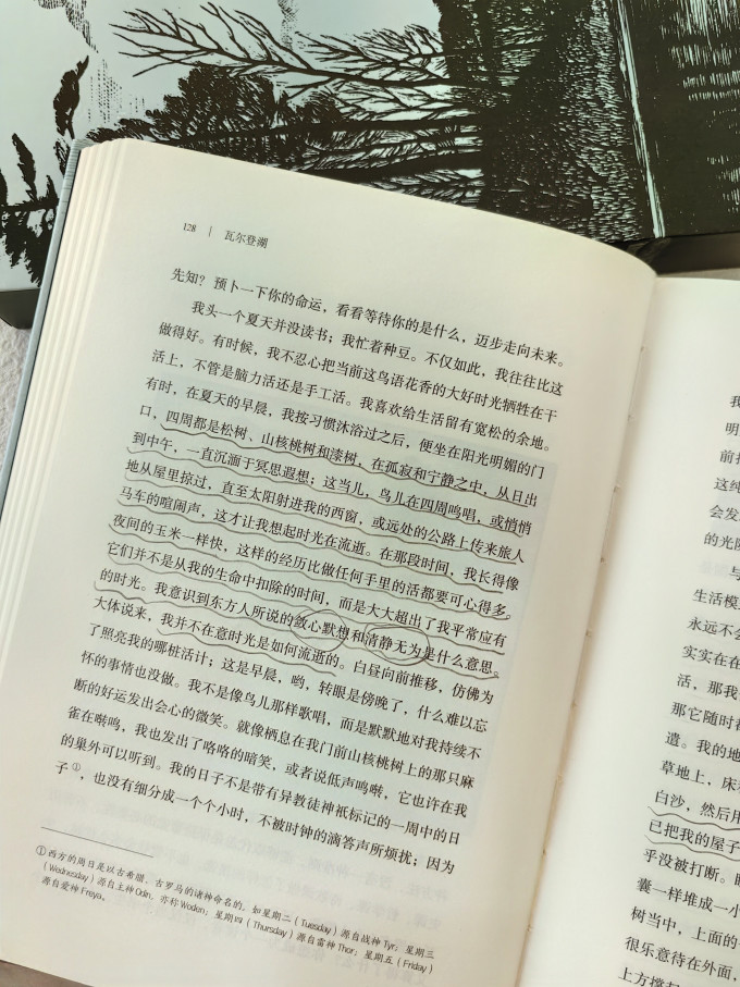 江苏凤凰文艺出版社小说