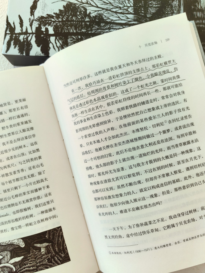 江苏凤凰文艺出版社小说