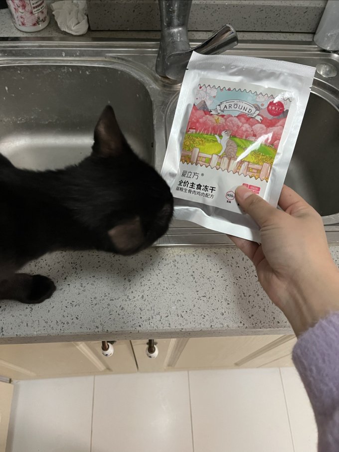 猫粮