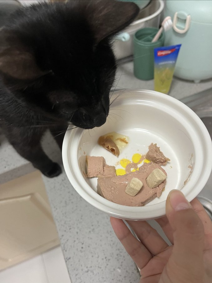 猫粮