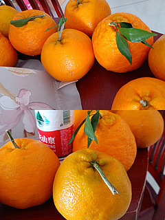 一道柑橘类甜汤，喝起来舒服。