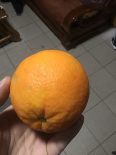 又凉又甜的橙子，真的好吃啊