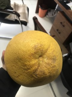 大厚皮柚子，非常让人开心