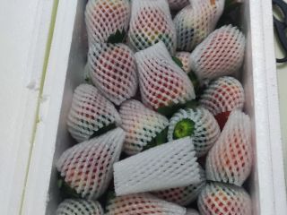 草莓季，你尝鲜了吗？