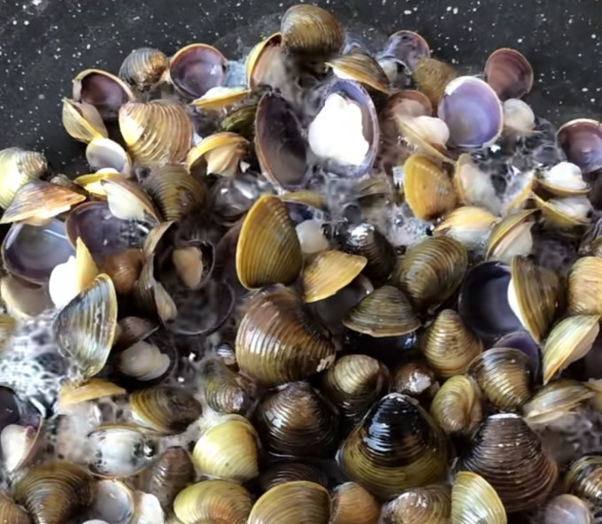 这真不是花甲大家吃过吗