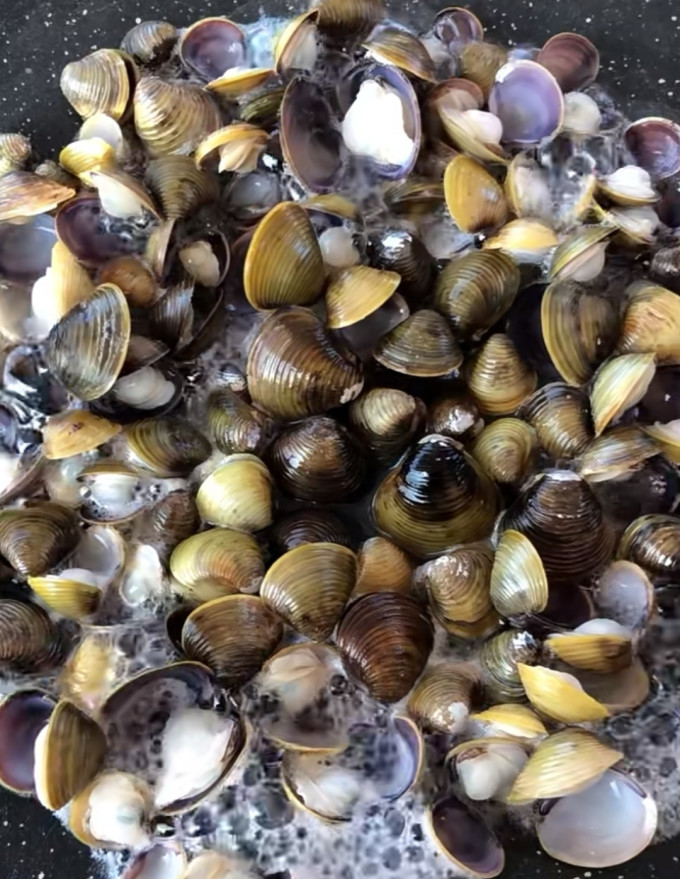 这真不是花甲大家吃过吗