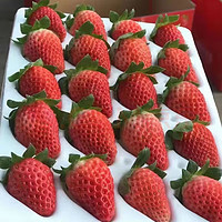 大凉山草莓，甜过初恋！