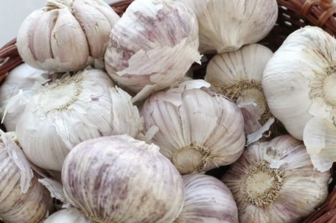 好媛好宇蔬菜