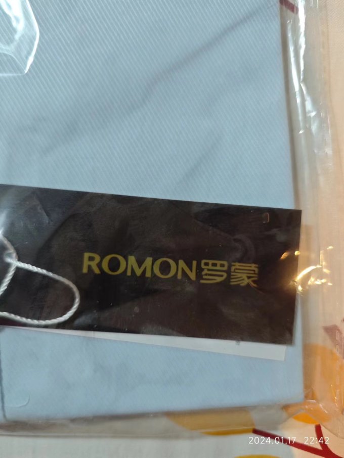 罗蒙男上装