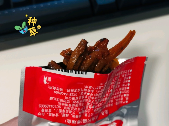 抓鱼的猫肉干肉脯
