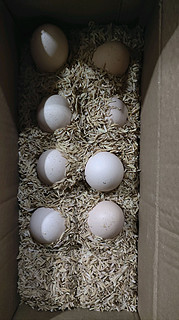 土家享农家鲜鸡蛋散养土鸡蛋8枚