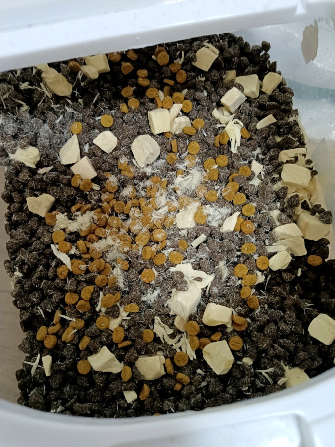 盒边猫咪冻干零食