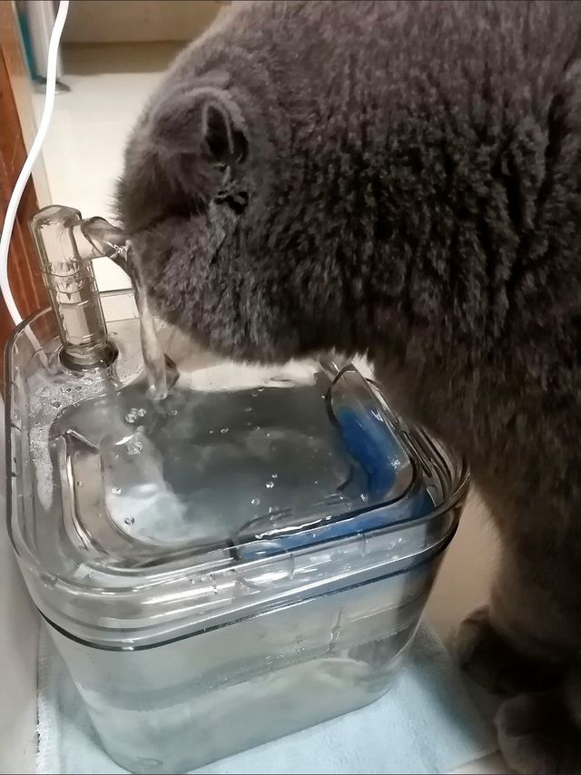 智能宠物饮水机，你值得拥有！