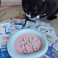 猫咪化毛神器！维耐斯猫草片