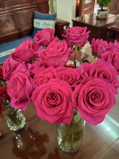 超长待机的玫瑰花，过年必买的鲜花