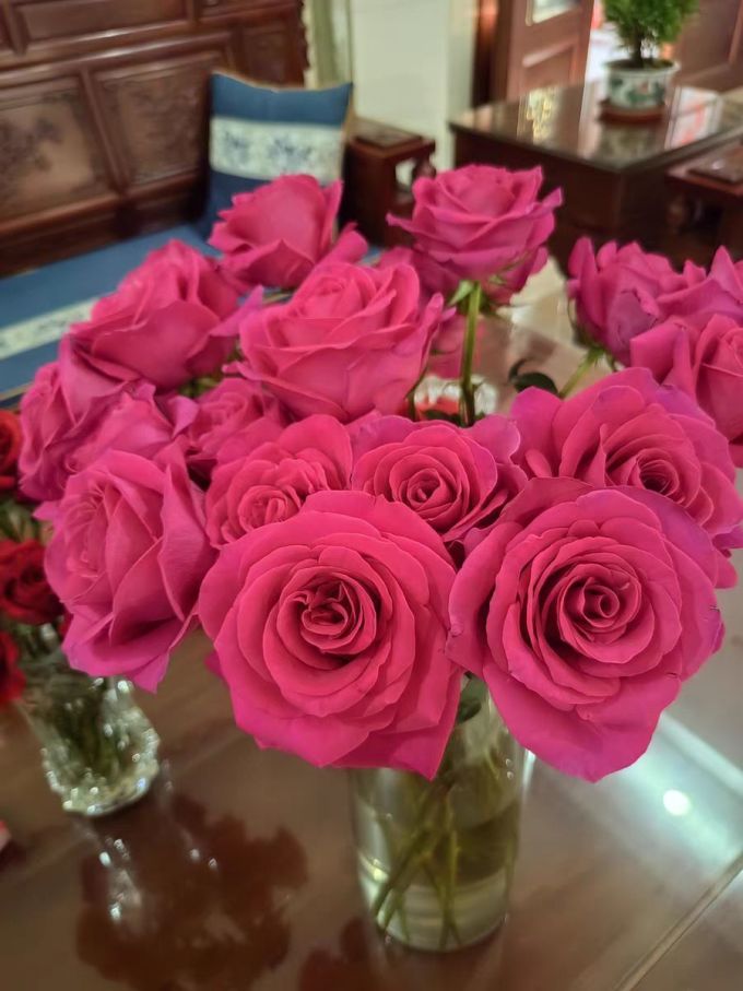 钟爱鲜花绿植