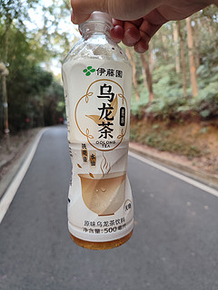 伊藤园原味乌龙茶